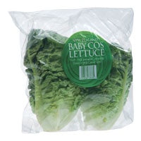 Baby Cos Lettuce Twinpack