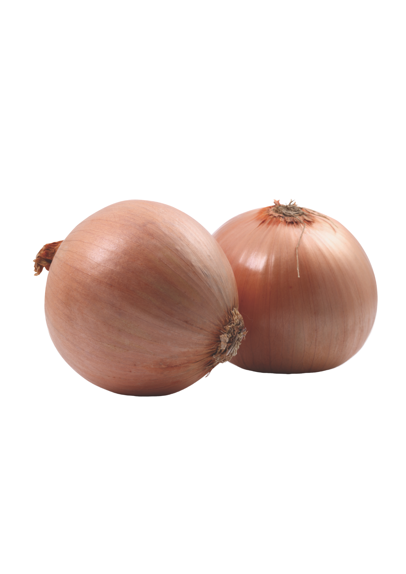 Onions, Brown, per kg