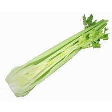 Celery - half (CP)