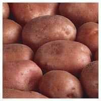 Potatoes, Washed Red, per kg