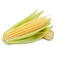 Fresh Sweet corn each