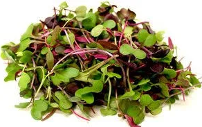Microgreens Mix 50g