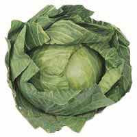 Cabbage Green - Whole