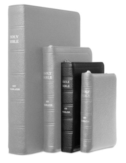J.N.Darby Medium Bible -No 17 Ruby with zip