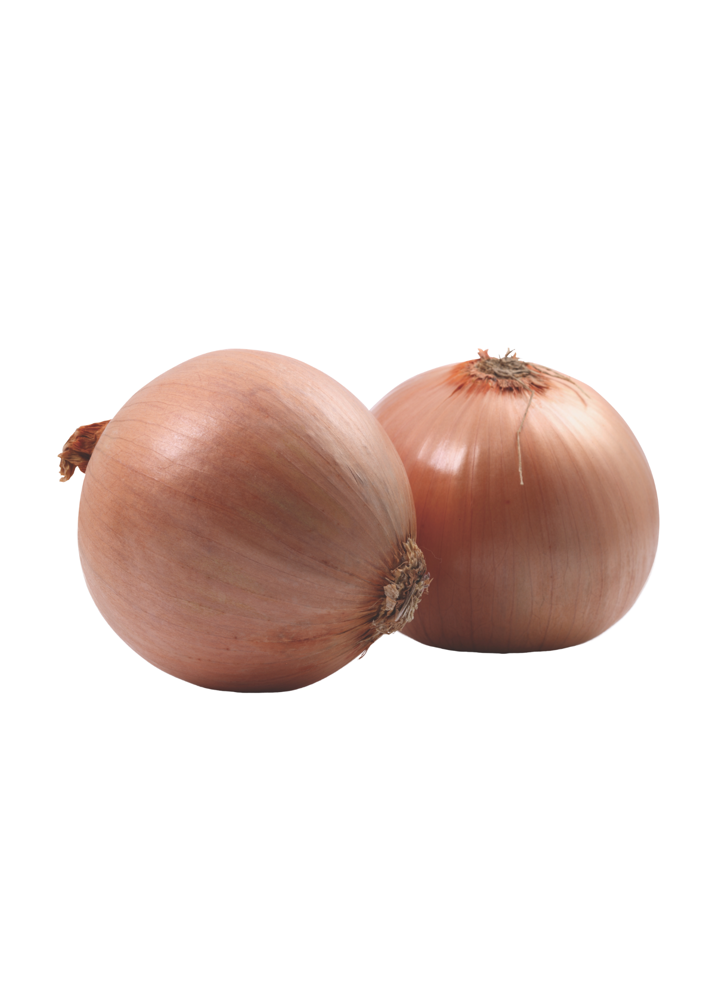 Onions, brown, 500g (cp)